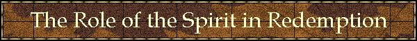 The Role of the Spirit in Redemption